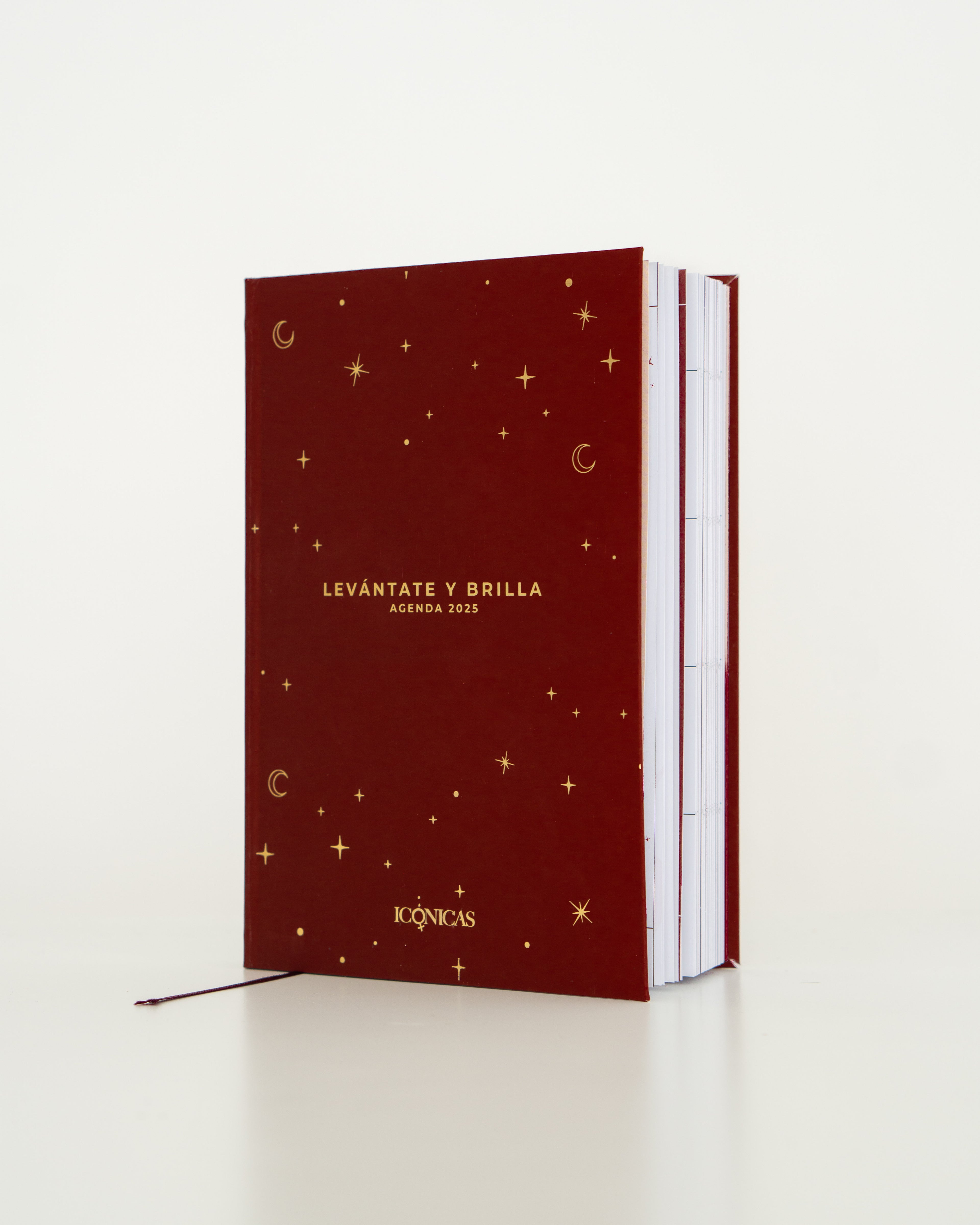 AGENDA 2025: LEVÁNTATE Y BRILLA