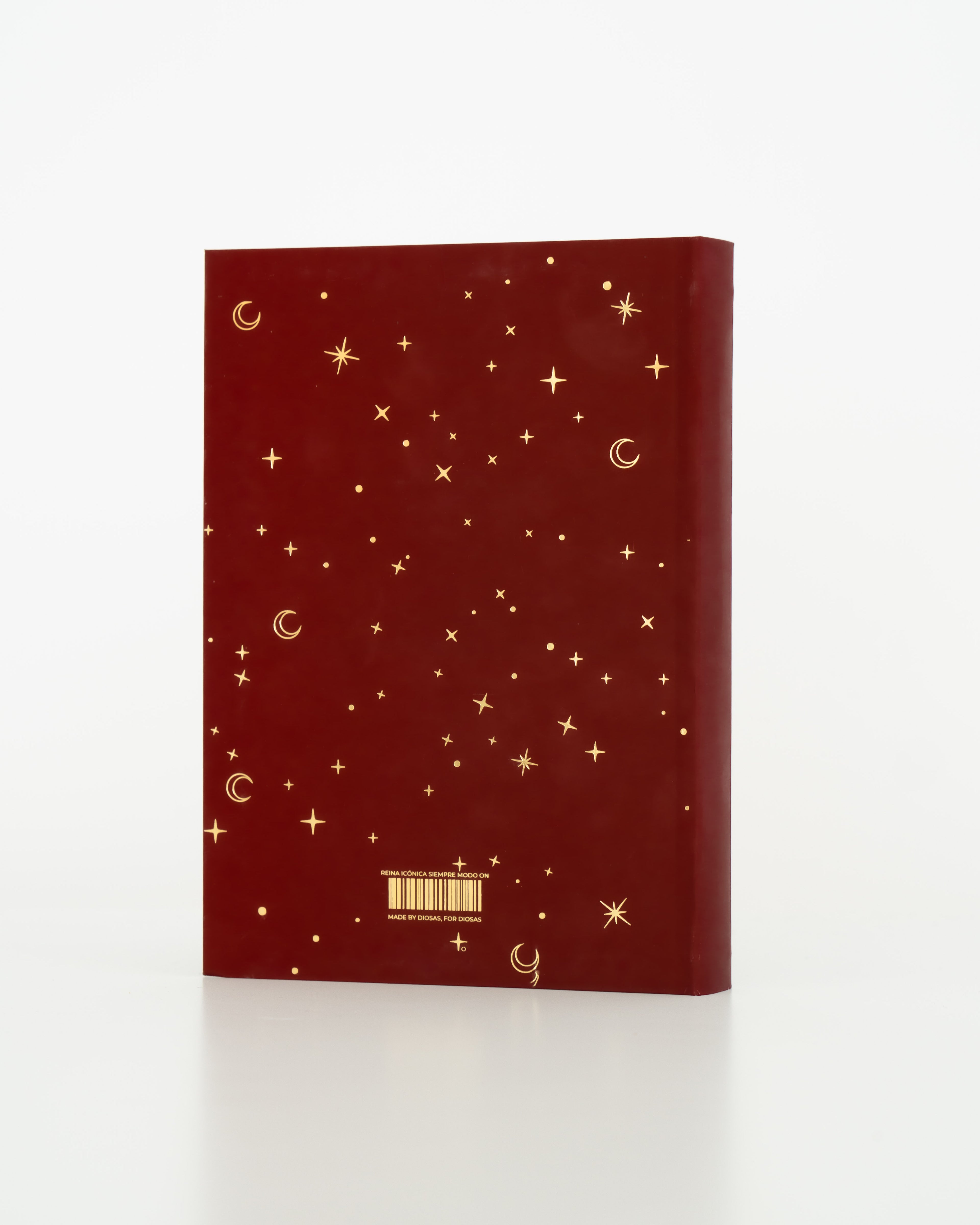 AGENDA 2025: LEVÁNTATE Y BRILLA