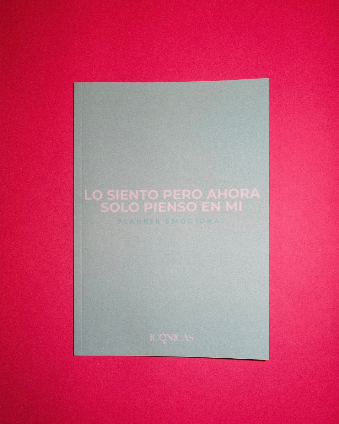 PLANNER DIARIO EMOCIONAL